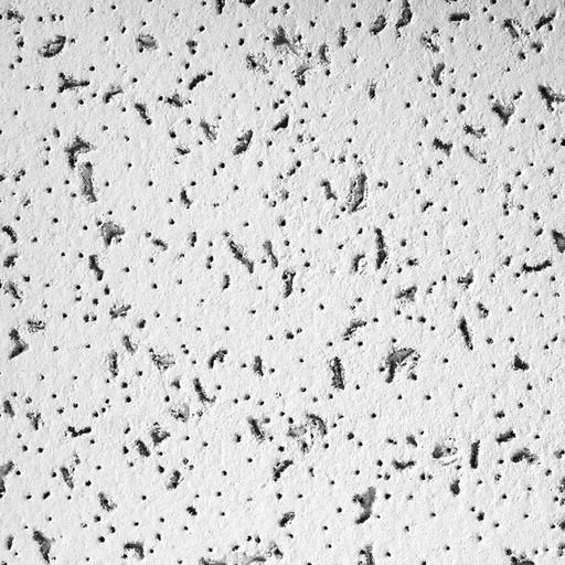 [CTA704A] Armstrong Cortega 2x2 Tegular 5/8" (64'/CTN) White Ceiling Tiles