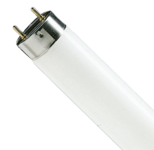SYLVANIA T8 3FT 17 Watts 4100K Fluorescent  22137 - FO17/841/ECO