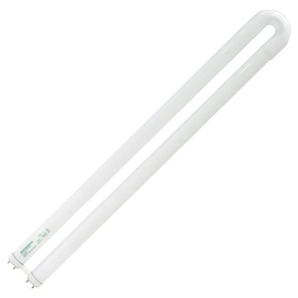 SYLVANIA T8 U-Bend 31 Watt 3500K Fluorescent 21695 FBO31/835XP/ECO