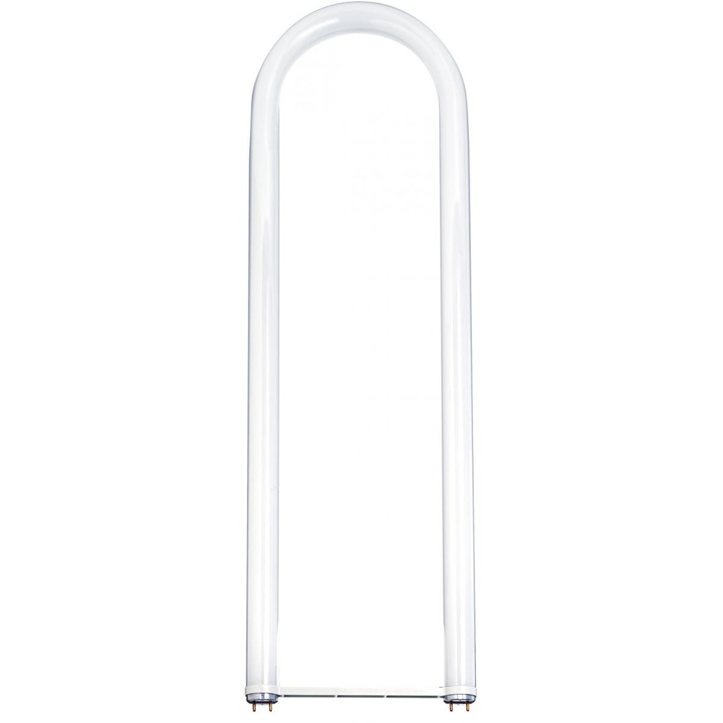 Satco 32 Watt; T8; U-Bend Fluorescent; 4100K Cool White; 82 CRI; Medium Bi Pin base