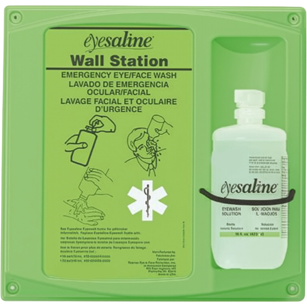 Honeywell Fendall Single Eyewash Wall Station 16oz