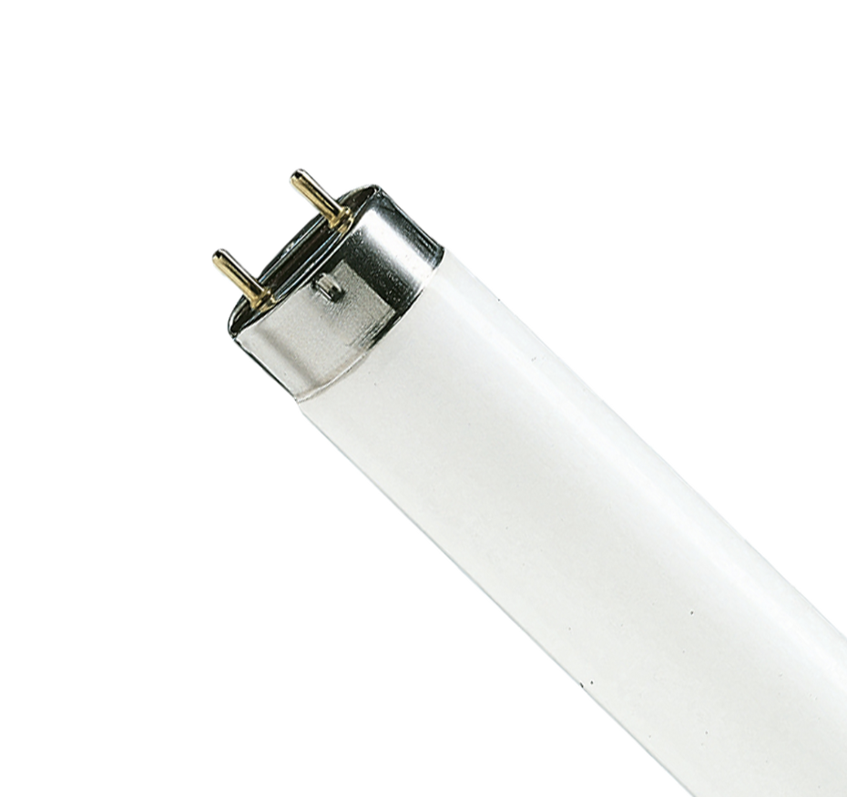 Satco 32 Watt; T8; Fluorescent; 4100K Cool White; Medium Bi Pin base; TF Shatter Proof SATCO