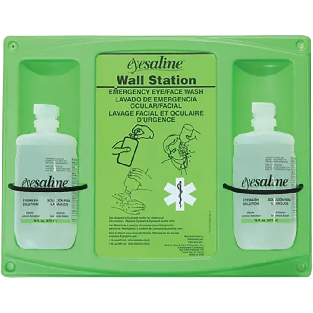 Honeywell 32 oz. Double Eyewash Wall Station
