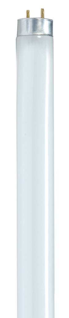 SATCO 32 Watt; T8; Fluorescent; 5000K Natural Light; 85 CRI; Medium Bi Pin base