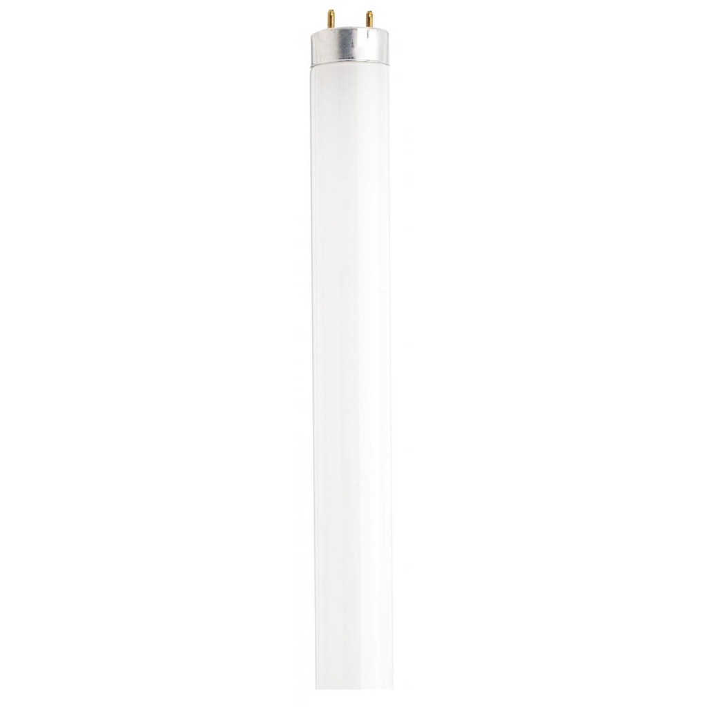 Satco 40 Watt; T8; Fluorescent; 4100K Cool White; 82 CRI; Medium Bi Pin base/