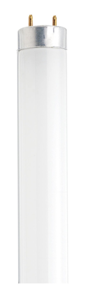SATCO 18 Watt; T8; 24 Inch Cool White Fluorescent