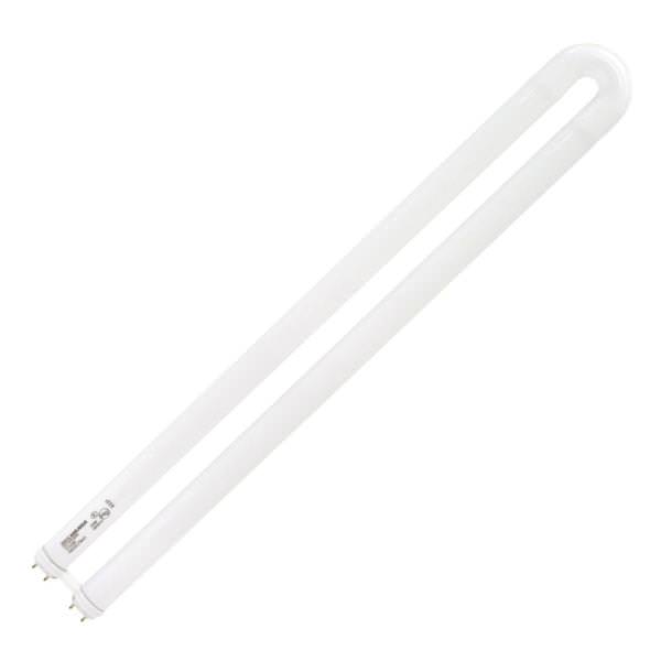 Sylvania - FBO31/841 4100 Kelvin - U-Bend Fluorescent - 1-5/8 in. Spacing