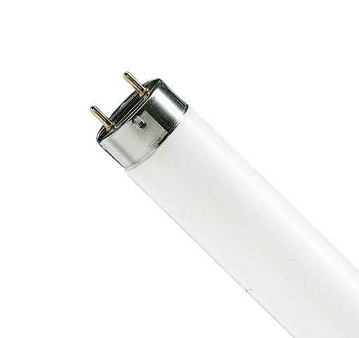 [S7633] Satco 32 Watt; T8; Fluorescent; 4100K Cool White; Medium Bi Pin base; TF Shatter Proof SATCO