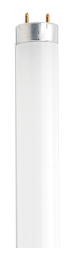 [S26513] SATCO 18 Watt; T8; 24 Inch Cool White Fluorescent